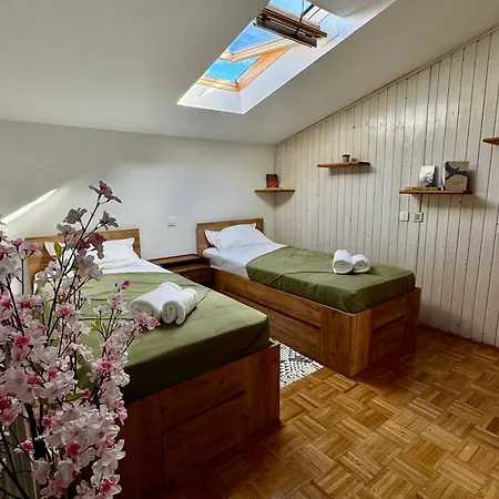 Apartma Gea 伊佐拉